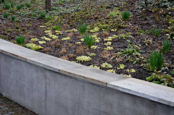 Concrete Wall Construction in Jackson