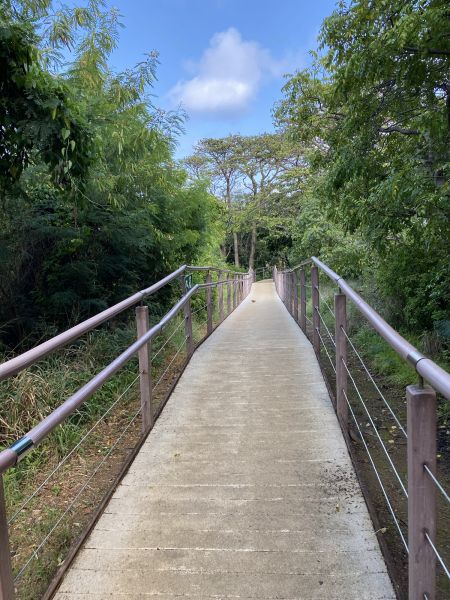 Footpath Construction in Jackson