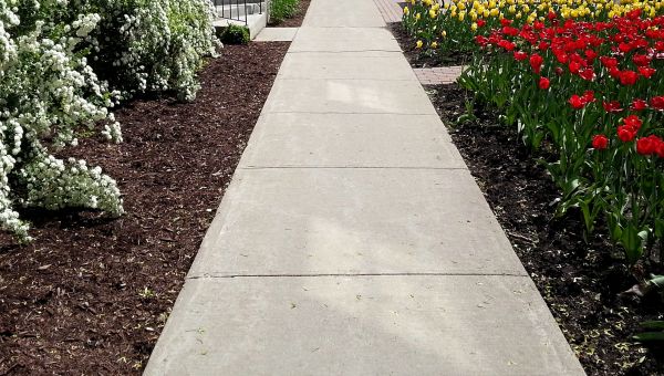 Cement Sidewalk Installation in Jackson