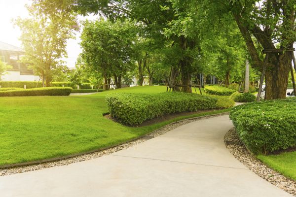 Walkway Concrete Installation in Jackson
