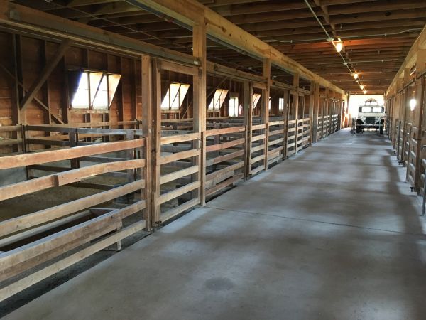 Barn Floor Pouring in Jackson
