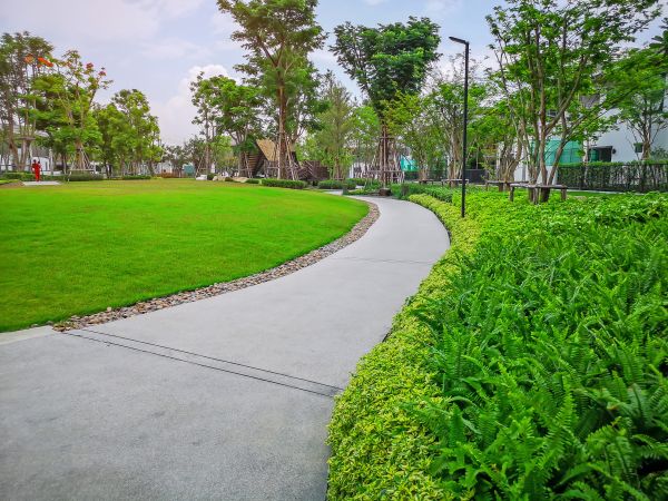 Cement Walkway Service in Jackson