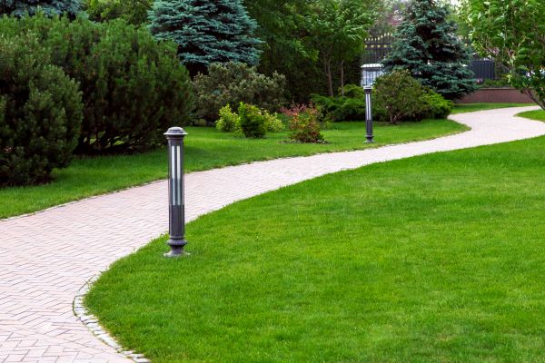 Backyard Sidewalk Installation in Jackson