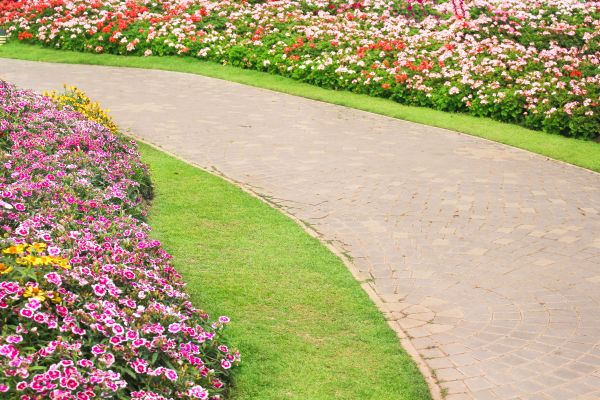 Concrete Walkway Service in Jackson
