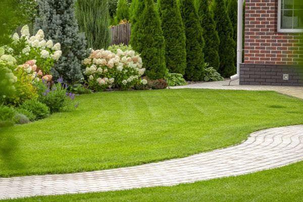 Landscape Walkway Installation in Jackson